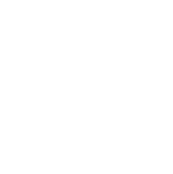 Topo Chico Spirited logo