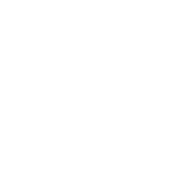 Topo Chico Spirited logo