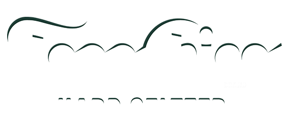 Topo Chico white logo