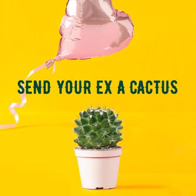 Feeling a little prickly this Valentine’s Day? Well, why not send your ex a cactus to let them know? It’ll last longer than your relationship and that’s prob a good thing. Click the link in our bio for your chance to get one.